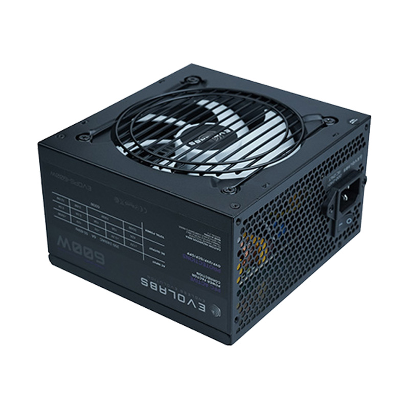 Fuente Evolabs Power Series 600W