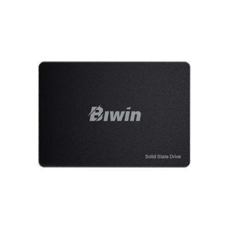 SSD BIWIN M100 256GB
