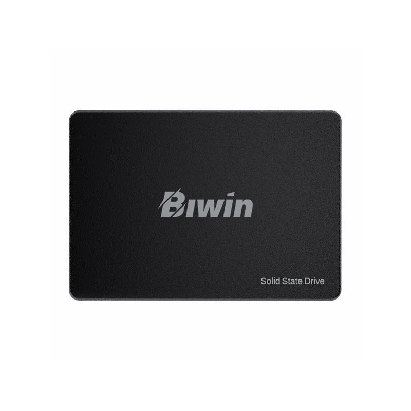 SSD BIWIN M100 256GB