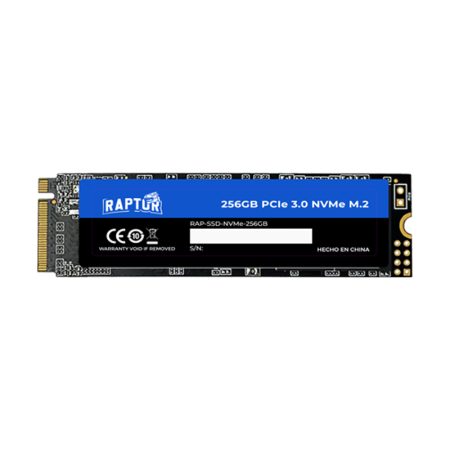 SSD M.2 NVME Raptor Legacy 256GB