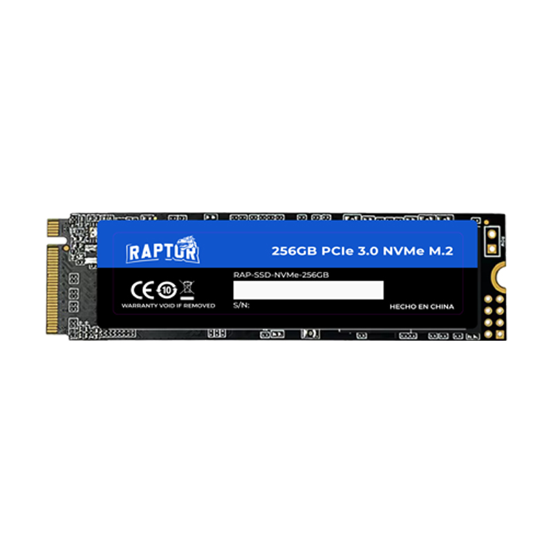 SSD M.2 NVME Raptor Legacy 256GB